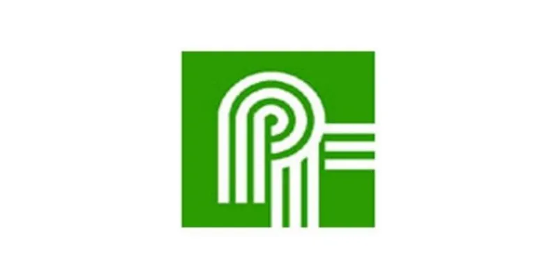 Pacific Textiles (F.Y. 2024-25)